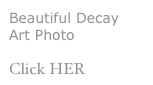 Beautiful Decay Art Photo
Click HER